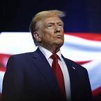 bet on trump win